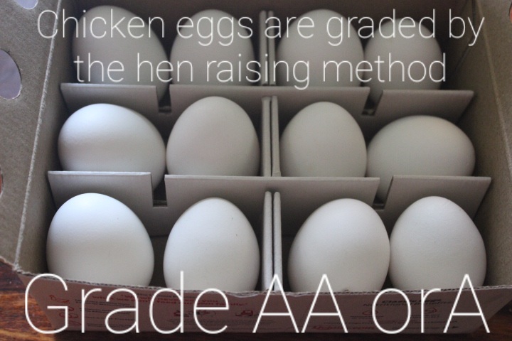 Chicken eggs are graded by the hen raising method, Grade AA or A